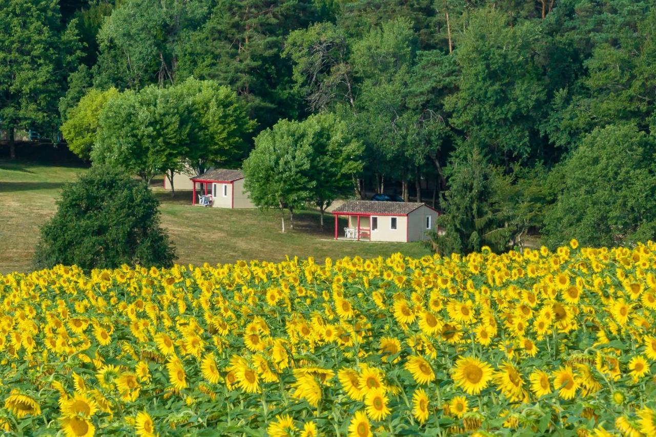 La Foret Enchantee Cornille  Exterior foto